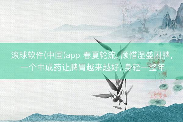滚球软件(中国)app 春夏轮流， 顾惜湿盛困脾， 一个中成药让脾胃越来越好， 身轻一整年