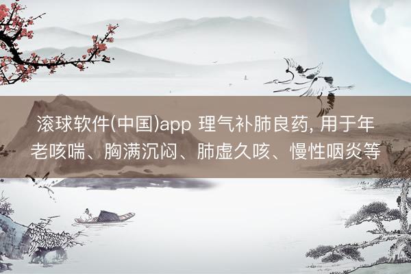 滚球软件(中国)app 理气补肺良药， 用于年老咳喘、胸满沉闷、肺虚久咳、慢性咽炎等