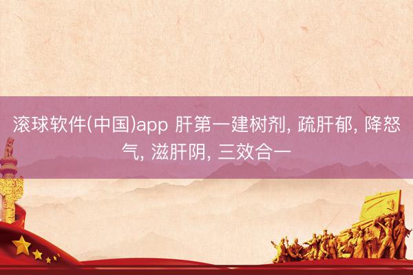 滚球软件(中国)app 肝第一建树剂， 疏肝郁， 降怒气， 滋肝阴， 三效合一