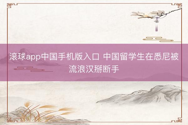 滚球app中国手机版入口 中国留学生在悉尼被流浪汉掰断手