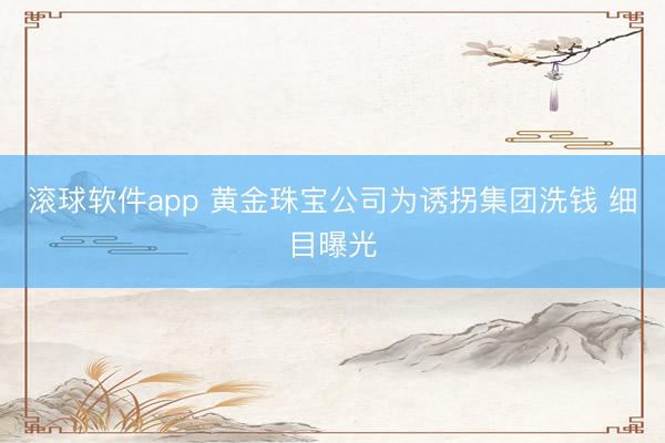 滚球软件app 黄金珠宝公司为诱拐集团洗钱 细目曝光