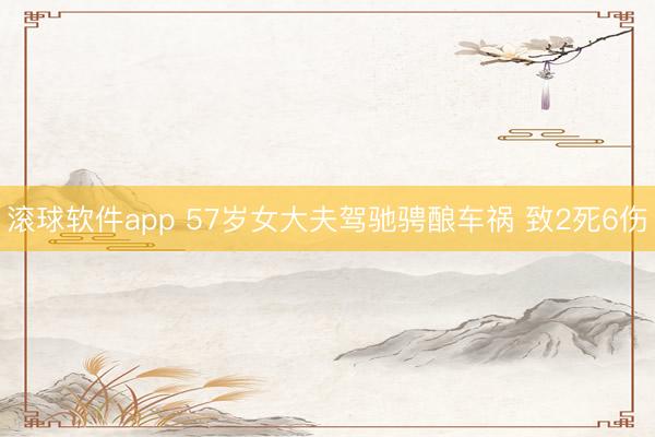 滚球软件app 57岁女大夫驾驰骋酿车祸 致2死6伤
