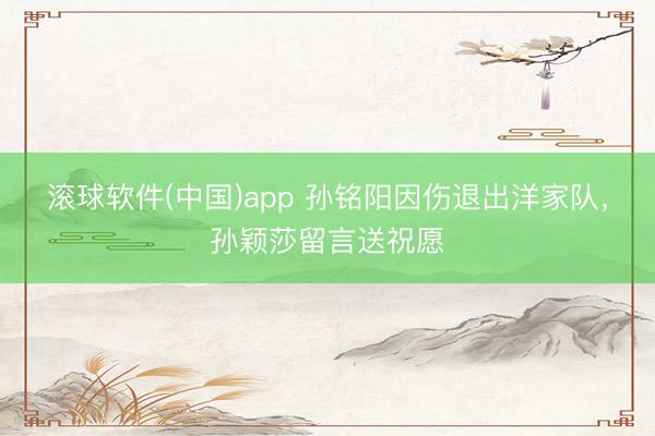 滚球软件(中国)app 孙铭阳因伤退出洋家队，孙颖莎留言送祝愿