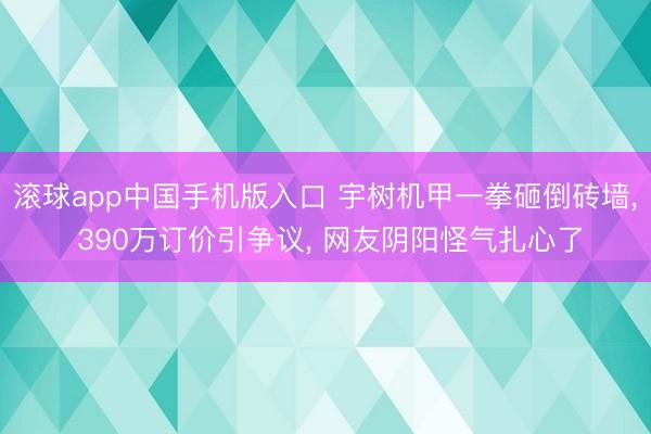 滚球app中国手机版入口 宇树机甲一拳砸倒砖墙， 390万订价引争议， 网友阴阳怪气扎心了