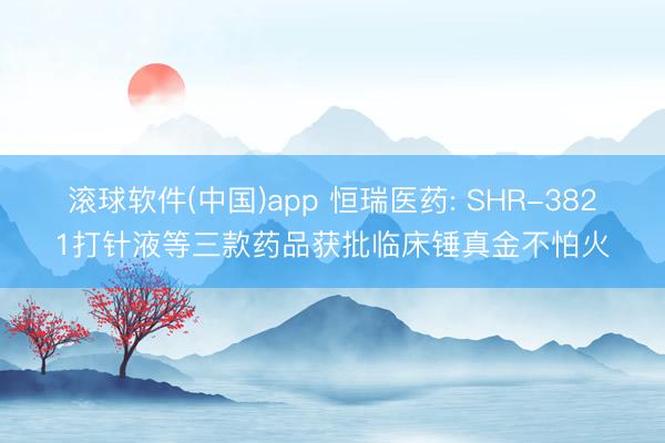 滚球软件(中国)app 恒瑞医药: SHR-3821打针液等三款药品获批临床锤真金不怕火