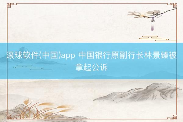 滚球软件(中国)app 中国银行原副行长林景臻被拿起公诉