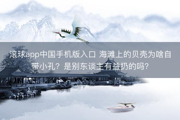 滚球app中国手机版入口 海滩上的贝壳为啥自带小孔？是别东谈主有益扔的吗？