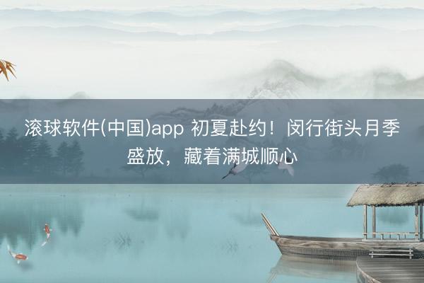 滚球软件(中国)app 初夏赴约！闵行街头月季盛放，藏着满城顺心