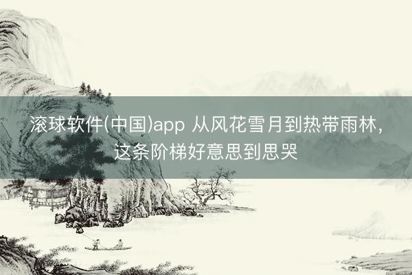 滚球软件(中国)app 从风花雪月到热带雨林，这条阶梯好意思到思哭