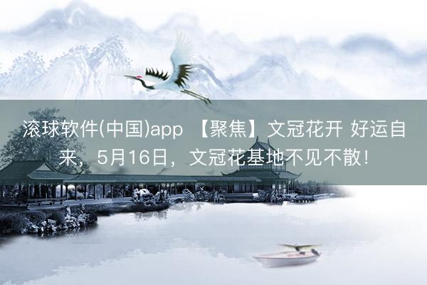 滚球软件(中国)app 【聚焦】文冠花开 好运自来，5月16日，文冠花基地不见不散！