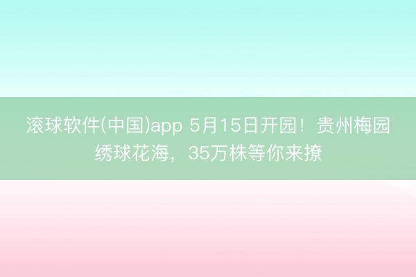 滚球软件(中国)app 5月15日开园！贵州梅园绣球花海，35万株等你来撩