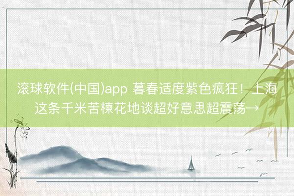 滚球软件(中国)app 暮春适度紫色疯狂！上海这条千米苦楝花地谈超好意思超震荡→