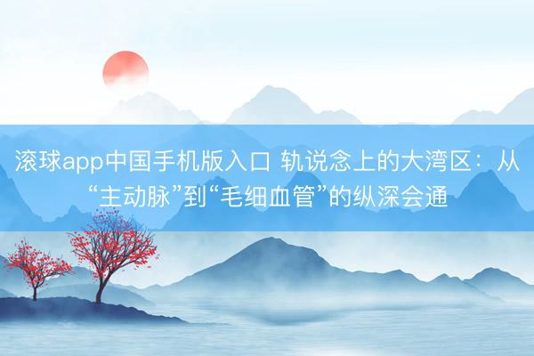 滚球app中国手机版入口 轨说念上的大湾区：从“主动脉”到“毛细血管”的纵深会通