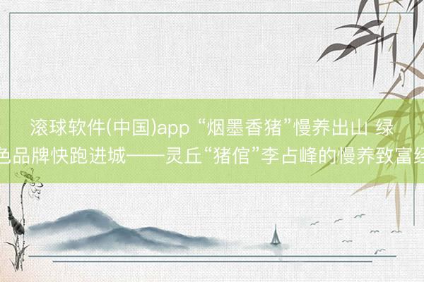 滚球软件(中国)app “烟墨香猪”慢养出山 绿色品牌快跑进城——灵丘“猪倌”李占峰的慢养致富经