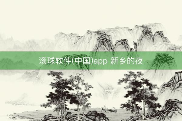滚球软件(中国)app 新乡的夜