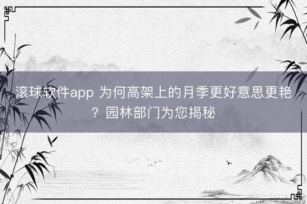 滚球软件app 为何高架上的月季更好意思更艳？园林部门为您揭秘
