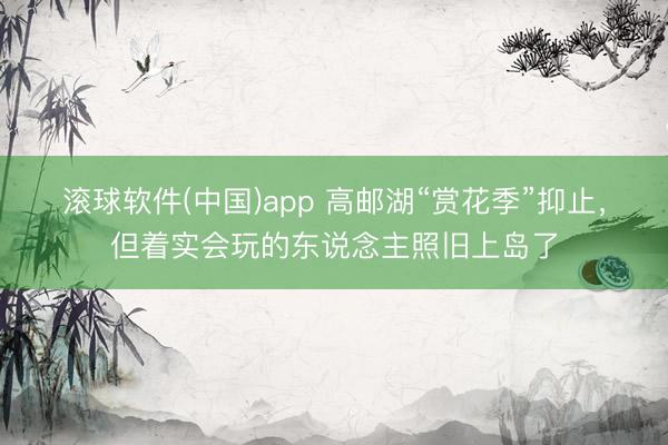 滚球软件(中国)app 高邮湖“赏花季”抑止，但着实会玩的东说念主照旧上岛了