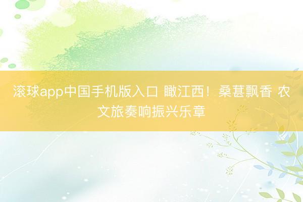 滚球app中国手机版入口 瞰江西！桑葚飘香 农文旅奏响振兴乐章