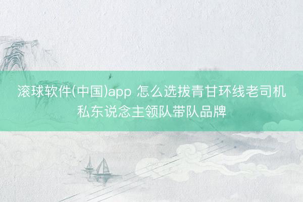 滚球软件(中国)app 怎么选拔青甘环线老司机私东说念主领队带队品牌