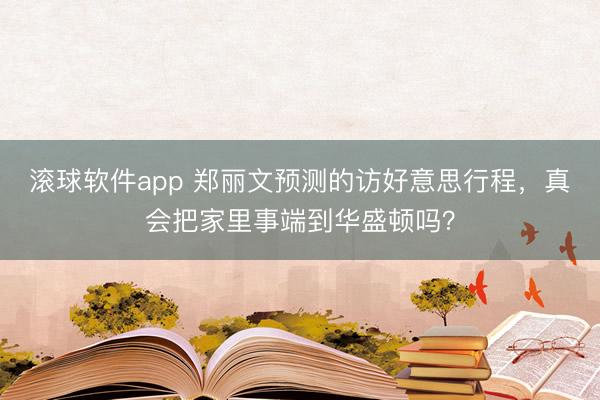 滚球软件app 郑丽文预测的访好意思行程，真会把家里事端到华盛顿吗？