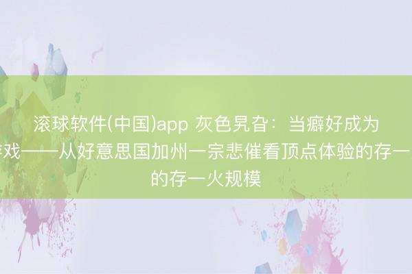 滚球软件(中国)app 灰色旯旮：当癖好成为致命游戏——从好意思国加州一宗悲催看顶点体验的存一火规模