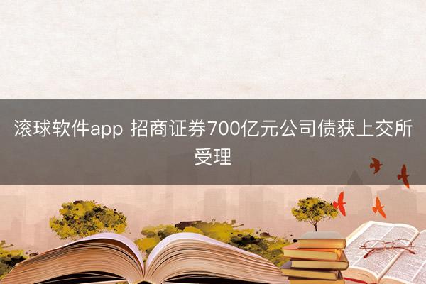 滚球软件app 招商证券700亿元公司债获上交所受理