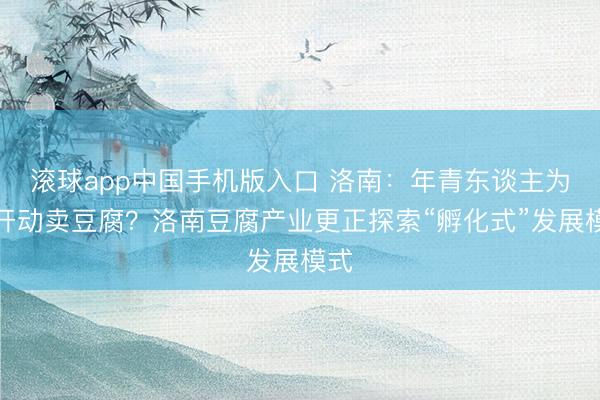 滚球app中国手机版入口 洛南：年青东谈主为何开动卖豆腐？洛南豆腐产业更正探索“孵化式”发展模式