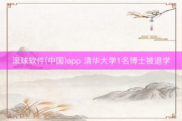 滚球软件(中国)app 清华大学1名博士被退学