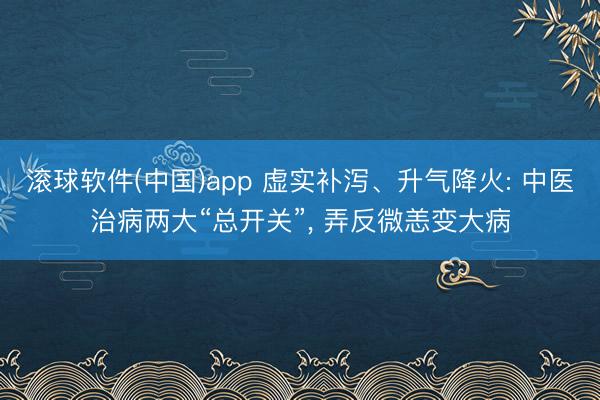 滚球软件(中国)app 虚实补泻、升气降火: 中医治病两大“总开关”, 弄反微恙变大病