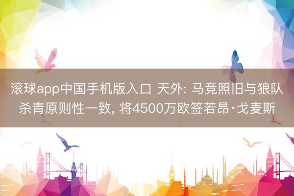 滚球app中国手机版入口 天外: 马竞照旧与狼队杀青原则性一致, 将4500万欧签若昂·戈麦斯