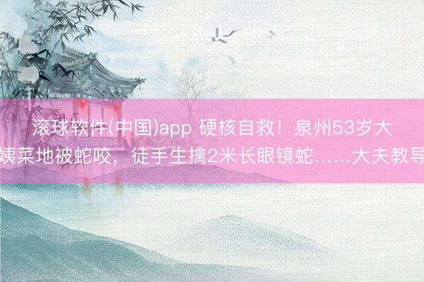 滚球软件(中国)app 硬核自救！泉州53岁大姨菜地被蛇咬，徒手生擒2米长眼镜蛇……大夫教导
