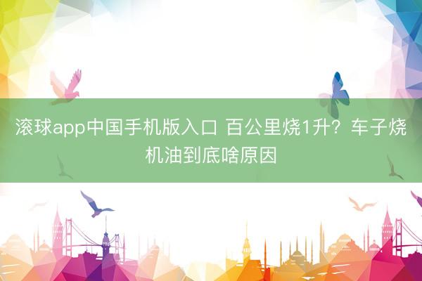滚球app中国手机版入口 百公里烧1升？车子烧机油到底啥原因