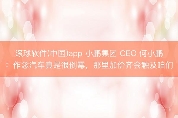 滚球软件(中国)app 小鹏集团 CEO 何小鹏：作念汽车真是很倒霉，那里加价齐会触及咱们