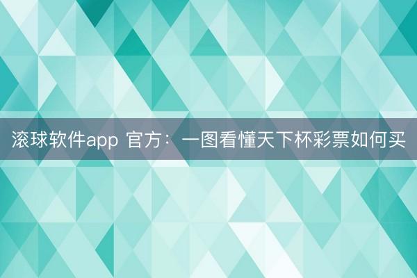 滚球软件app 官方：一图看懂天下杯彩票如何买