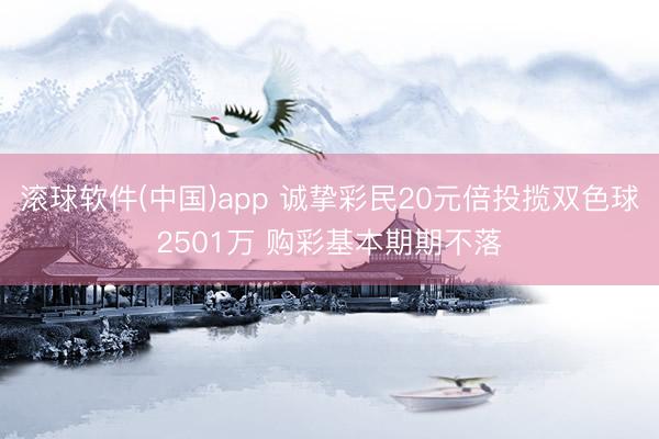滚球软件(中国)app 诚挚彩民20元倍投揽双色球2501万 购彩基本期期不落