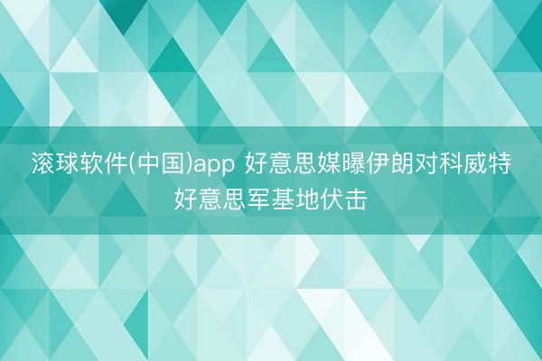 滚球软件(中国)app 好意思媒曝伊朗对科威特好意思军基地伏击