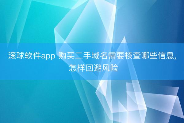 滚球软件app 购买二手域名需要核查哪些信息， 怎样回避风险