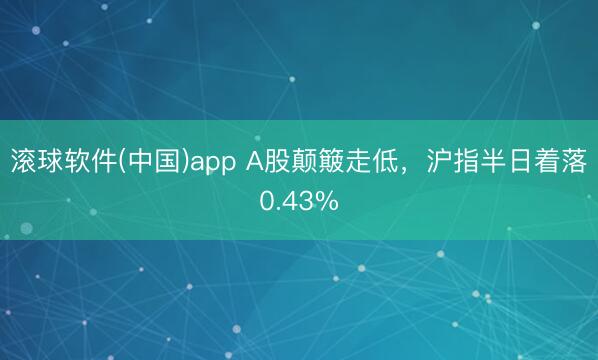 滚球软件(中国)app A股颠簸走低，沪指半日着落0.43%