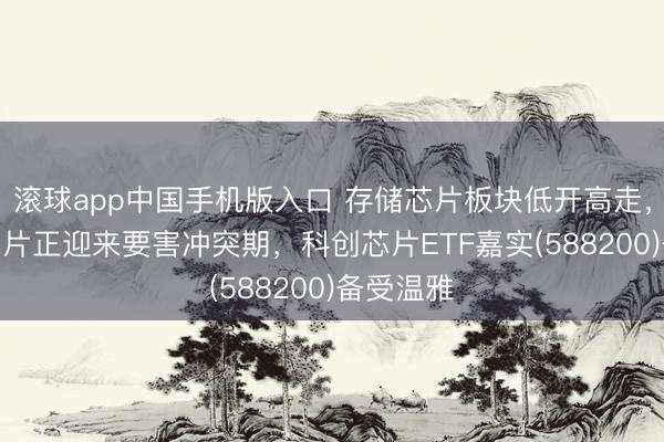 滚球app中国手机版入口 存储芯片板块低开高走，国产AI芯片正迎来要害冲突期，科创芯片ETF嘉实(588200)备受温雅