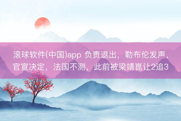 滚球软件(中国)app 负责退出，勒布伦发声，官宣决定，法国不测，此前被梁靖崑让2追3