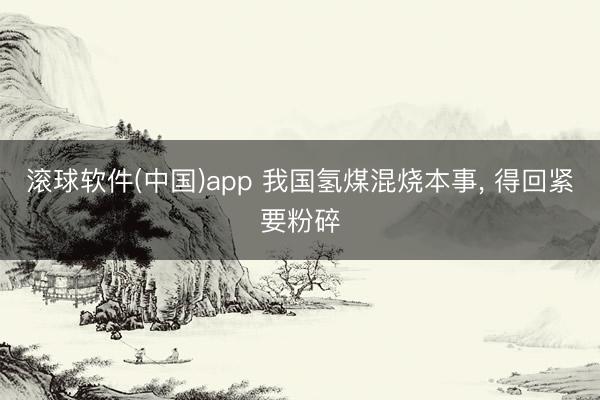 滚球软件(中国)app 我国氢煤混烧本事， 得回紧要粉碎