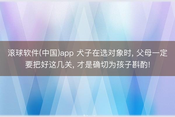 滚球软件(中国)app 犬子在选对象时， 父母一定要把好这几关， 才是确切为孩子斟酌!