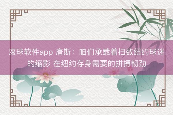 滚球软件app 唐斯：咱们承载着扫数纽约球迷的缩影 在纽约存身需要的拼搏韧劲