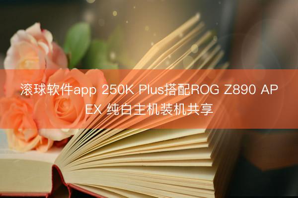 滚球软件app 250K Plus搭配ROG Z890 APEX 纯白主机装机共享