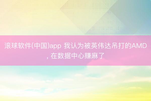 滚球软件(中国)app 我认为被英伟达吊打的AMD， 在数据中心赚麻了
