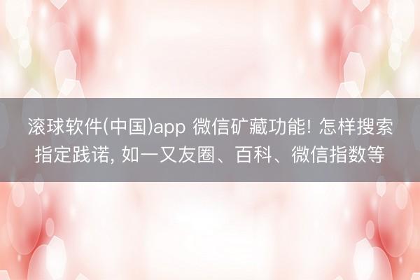 滚球软件(中国)app 微信矿藏功能! 怎样搜索指定践诺， 如一又友圈、百科、微信指数等