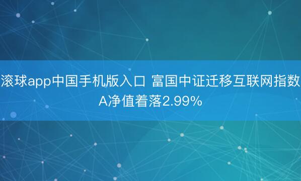 滚球app中国手机版入口 富国中证迁移互联网指数A净值着落2.99%