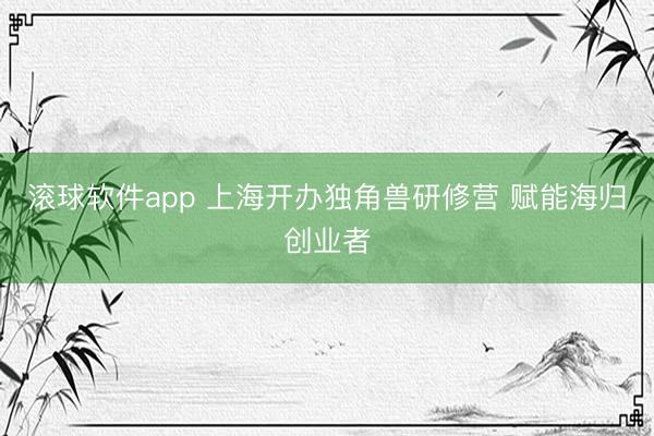 滚球软件app 上海开办独角兽研修营 赋能海归创业者