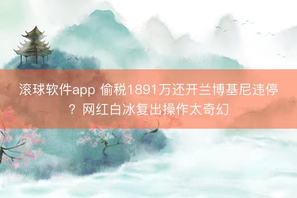 滚球软件app 偷税1891万还开兰博基尼违停？网红白冰复出操作太奇幻
