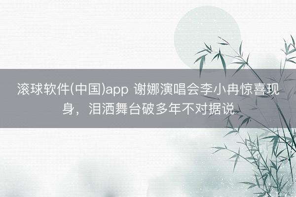 滚球软件(中国)app 谢娜演唱会李小冉惊喜现身，泪洒舞台破多年不对据说